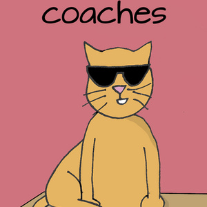 If cats were coaches 