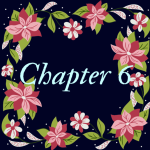 Chapter 6 