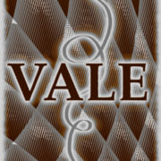 Anomalies in The Town Of Vale