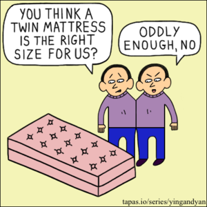 Twin Mattress