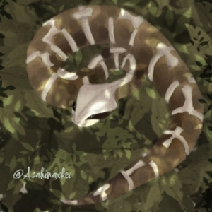 Ch"13":deadly poison 