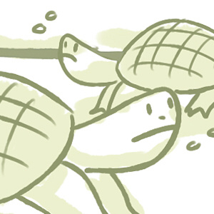 you... turtles