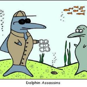 dolphin assassins 