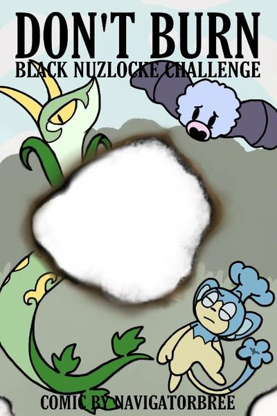Don’t Burn - Black Nuzlocke