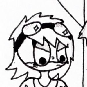 Chapter 1 pages 10-12