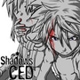 Shadows of CED - Prolog -