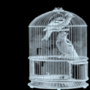Caged Bird