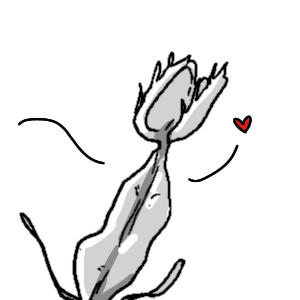 Blossoming friendship 