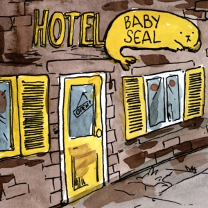 Ch1P5 - Baby Seal
