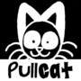 PullCat (2014-2016)