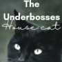 The Underbosses House Cat [M/M]