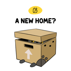 A New Home?
