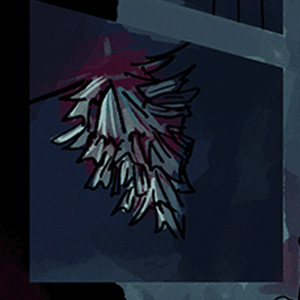 Brachycyttarus griseus