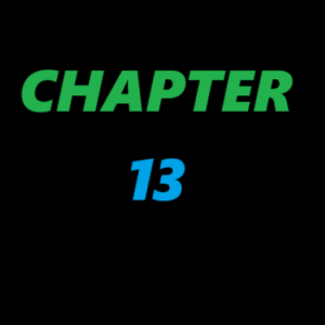 {CHAPTER 13} (HAPPY BIRTHDAY, LIOR)