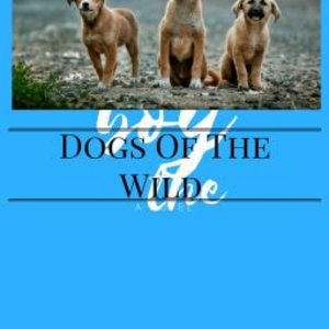 Chapter 5-More pups in the pack