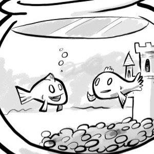 Fish Roommates