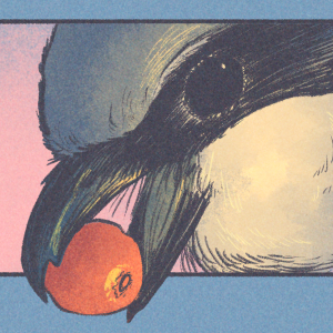 The Loggerhead Gallery