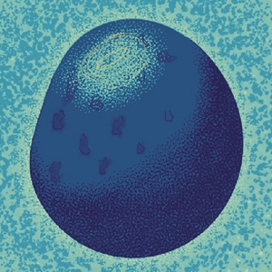 Prologue