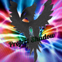 Project Shadow