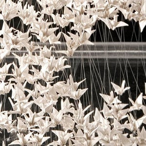 1000 Paper Cranes