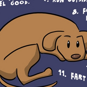 12 legitimate New Year's resolutions you can steal from dogs