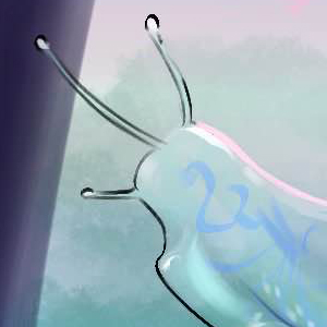 Avant propos, pages 10