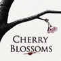 Cherry Blossoms