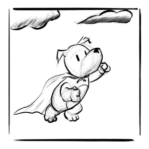 What Dogs Dream About