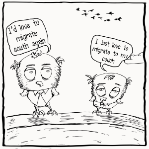 Migrate to Couch