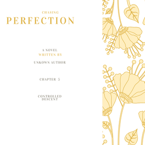 Controlled Descent - Part Two