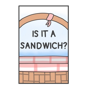 Which Do YOU Think Is A Sandwich?