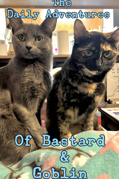 The Daily Adventures of Goblin & Bastard