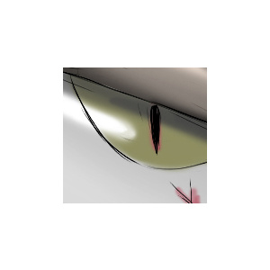 Gates of the Haunted Mansion