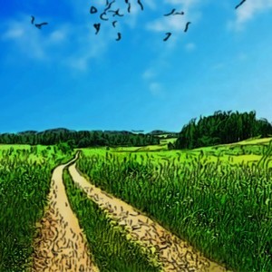 Not In Rockville Anymore