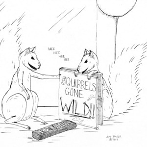 Squirrels Gone Wild, Bonus Panel