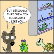 Doghouse In Your Soul