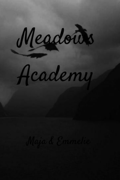 Meadows Academy
