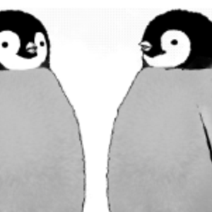 Duality of man