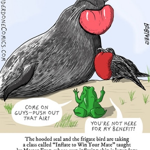 Inflatable Mens' Club