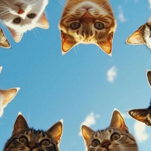 Episode 5: The Noisy One and the Food Heist 