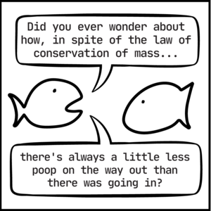 Conservation of Mass