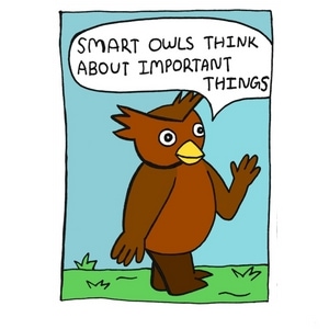 Important things to consider