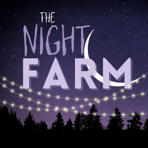 The Night Farm - Christmas In The Wood