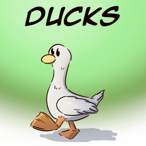 Intermission: Ducks