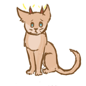 Every program ever (explained with kittens)