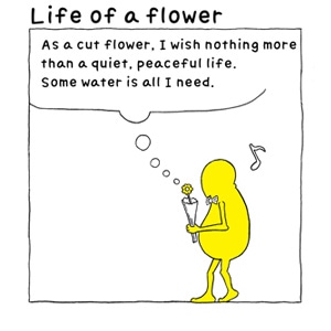 Life of a flower