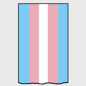 Episode 12: Flag