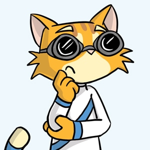 Time Portal - Solution