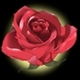 The Last Rose 