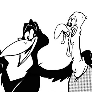 Turkey Outwith the Straw